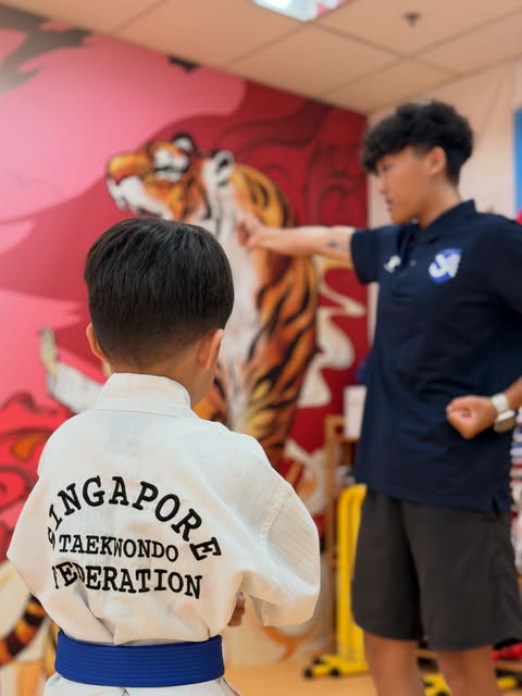 Kids & Juniors class at Taekwondo Masters Academy