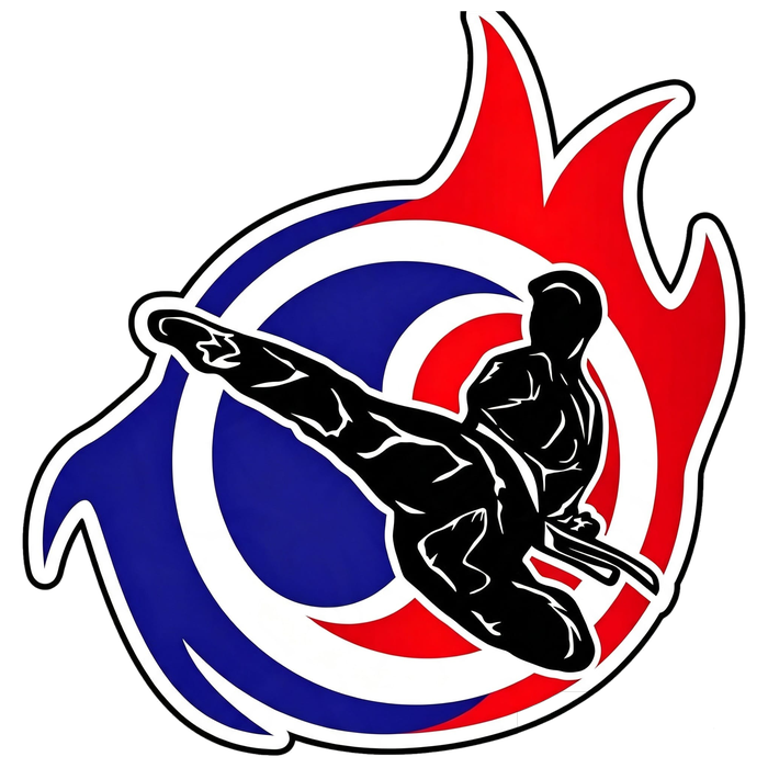 Taekwondo Masters Academy logo